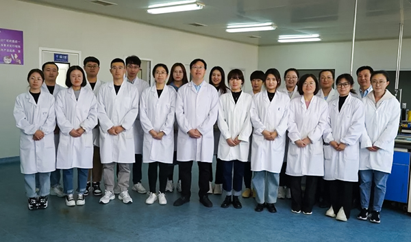 r&d team
